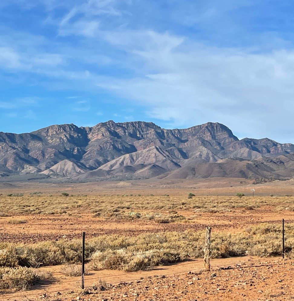 scenic image taken from the western end of the moralana Scenic Drive on a Flinders Ranges Tour